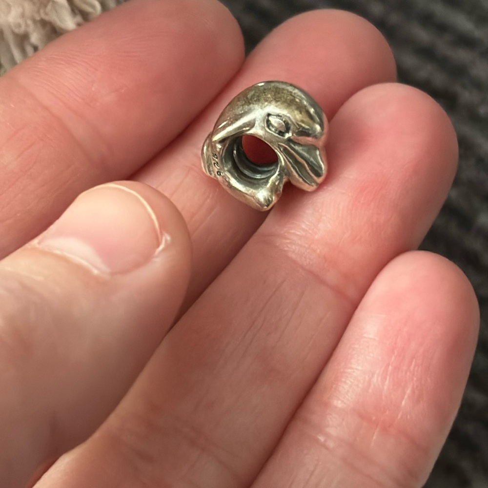 Pandora dolphin charm